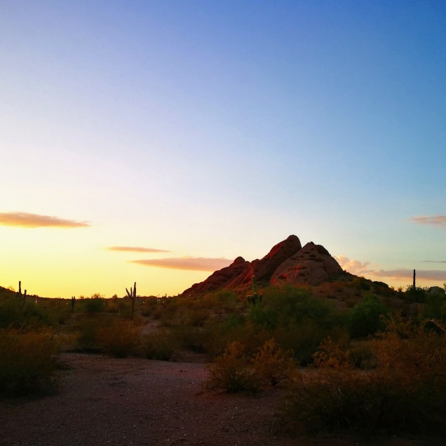sunset in Arizona with cacti and red rocks