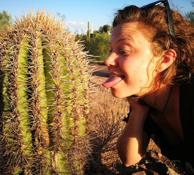 licking a cactus in phoenix arizona