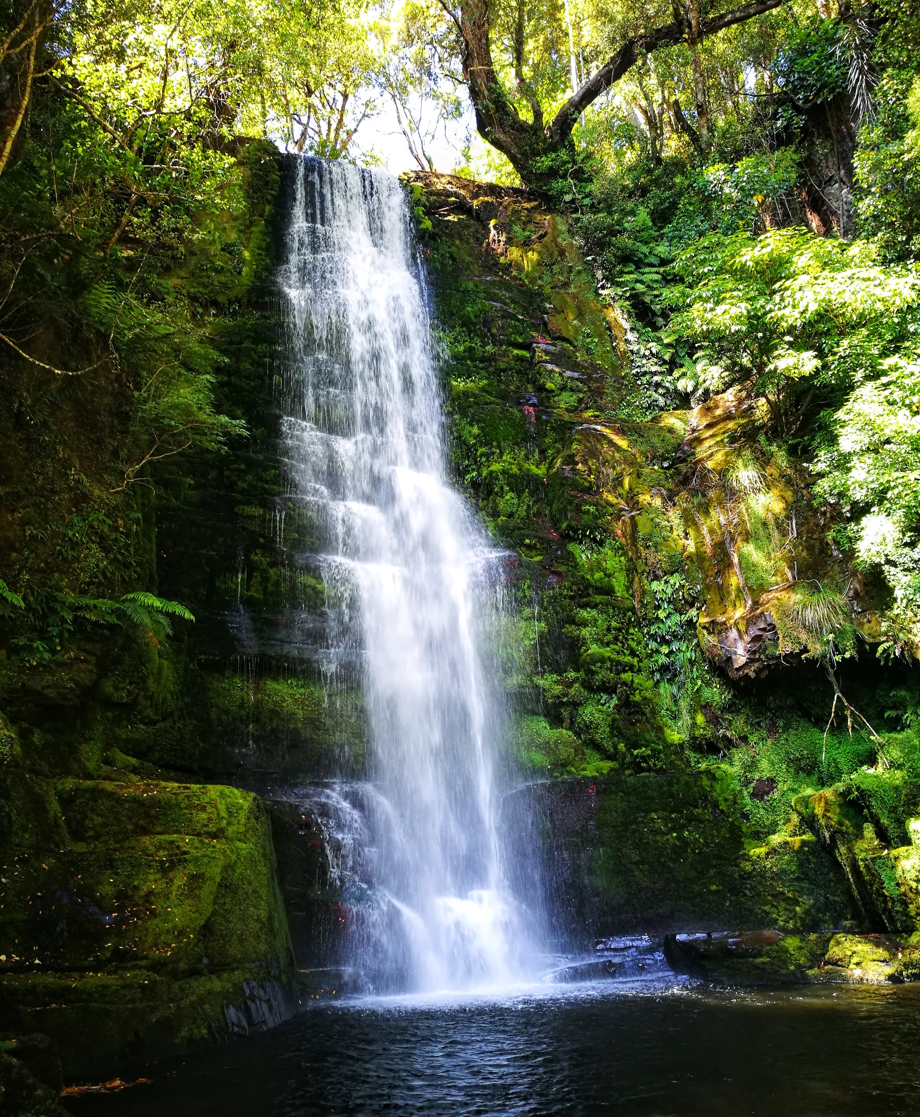waterfall in the catlins